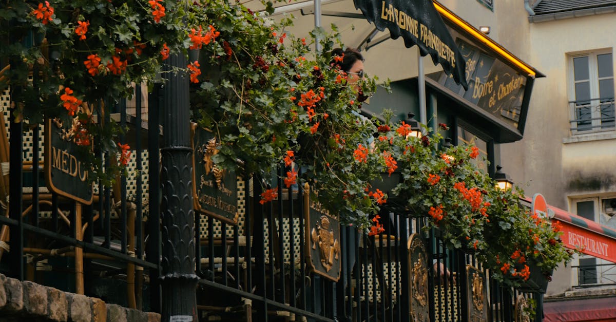 A Restaurant Along the Brick Road in Paris