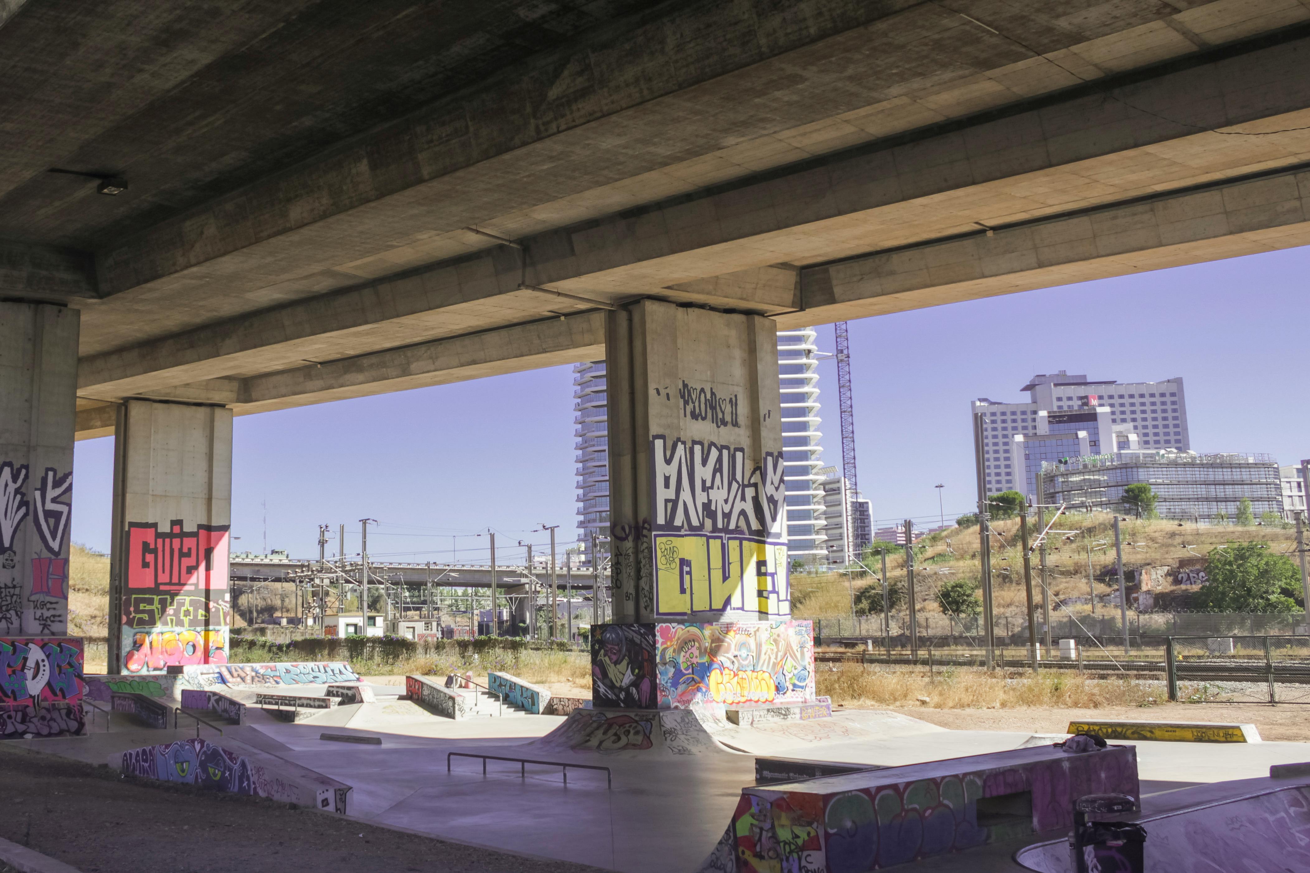A Skatepark Built Under the Bridge · Free Stock Photo