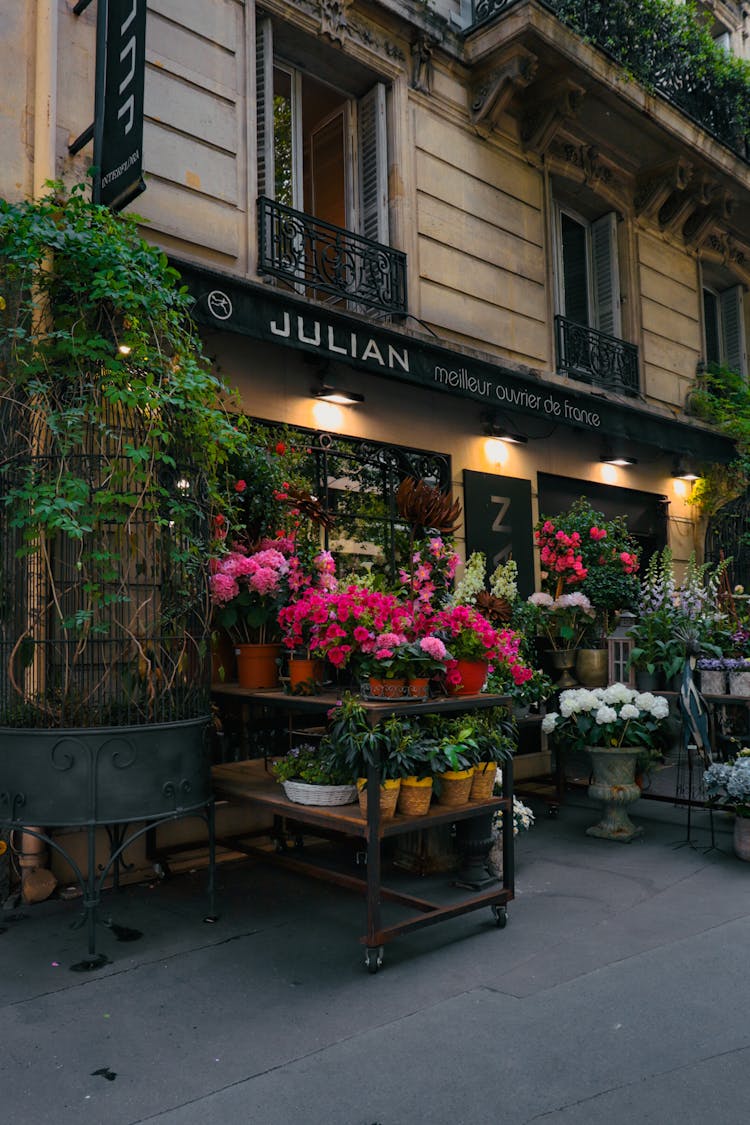 Plants Outside A Building