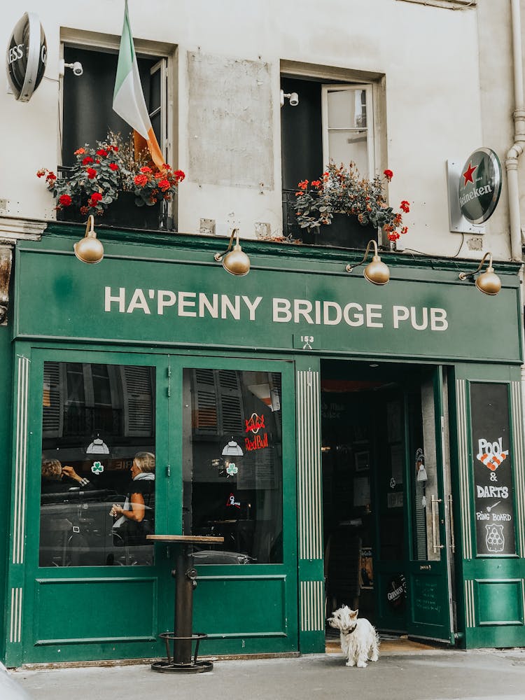 HaPenny Bridge Pub In Paris