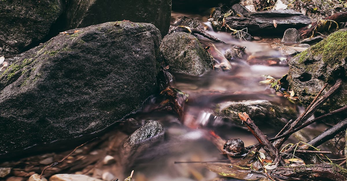 Photo of Stream · Free Stock Photo