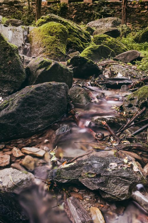 Free Peaceful stream flowing over moss-covered rocks in a lush Beijing forest. Stock Photo