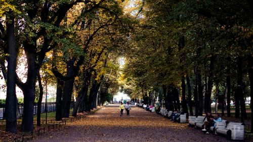 Free A serene park pathway lined with trees in autumn, with people enjoying a leisurely walk. Stock Photo