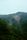forests