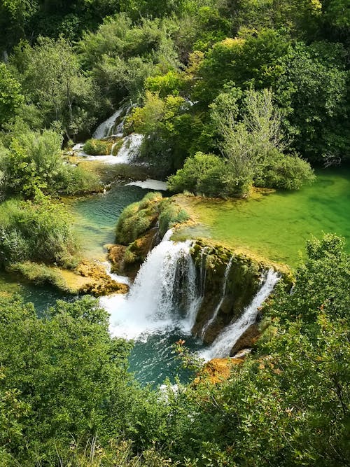 Foto profissional grátis de aerofotografia, água, árvores