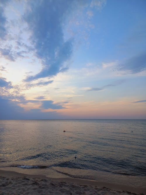 Immagine gratuita di acqua, aereo, bagnasciuga