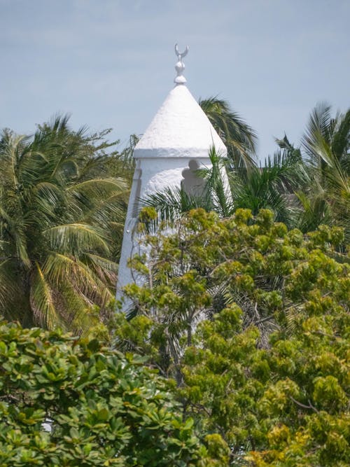 Tower of a Temple Among Trees