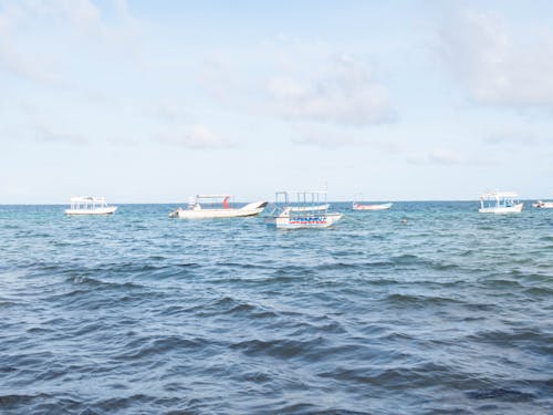 Boats in the Ocean
