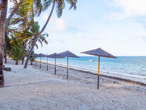 Beach Umbrellas