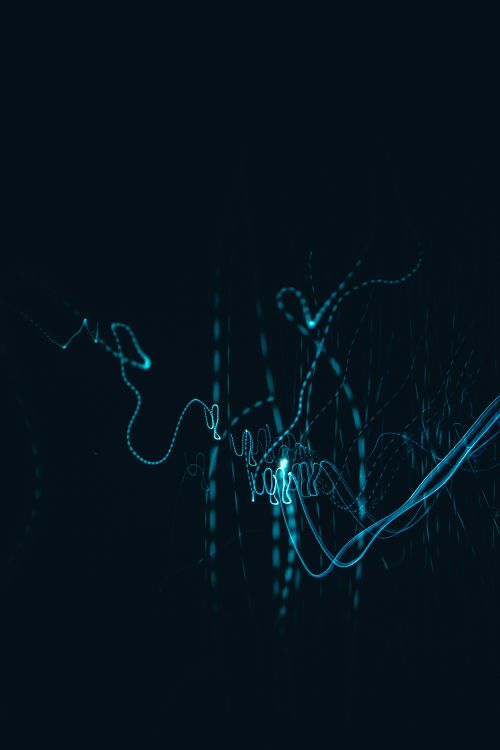 Free Night Stock Photo