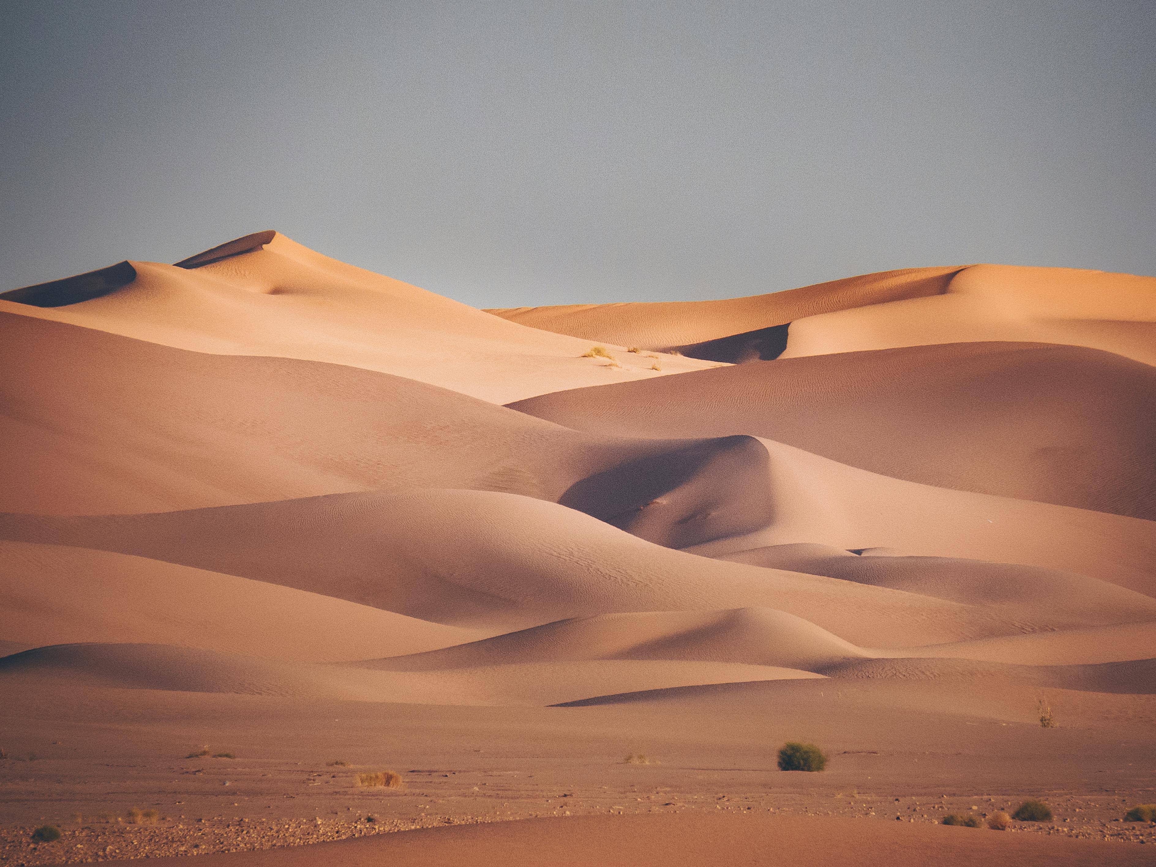 Dunes in Desert