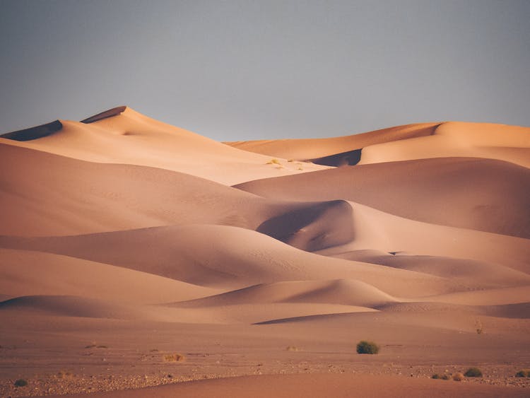 Dunes In Desert