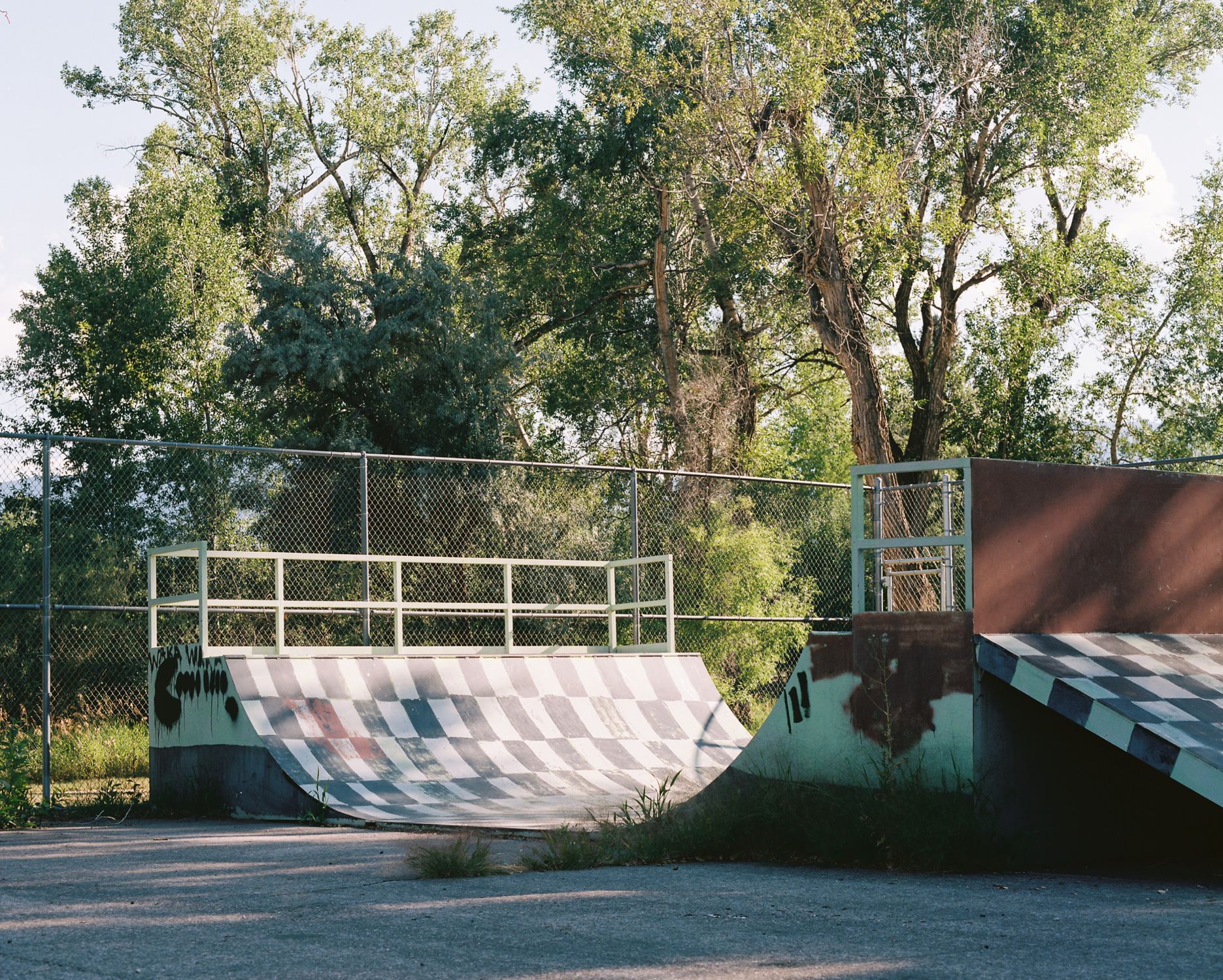 Green Ramp Scene A Skate Ramp Near Green Trees · Free Stock Photo