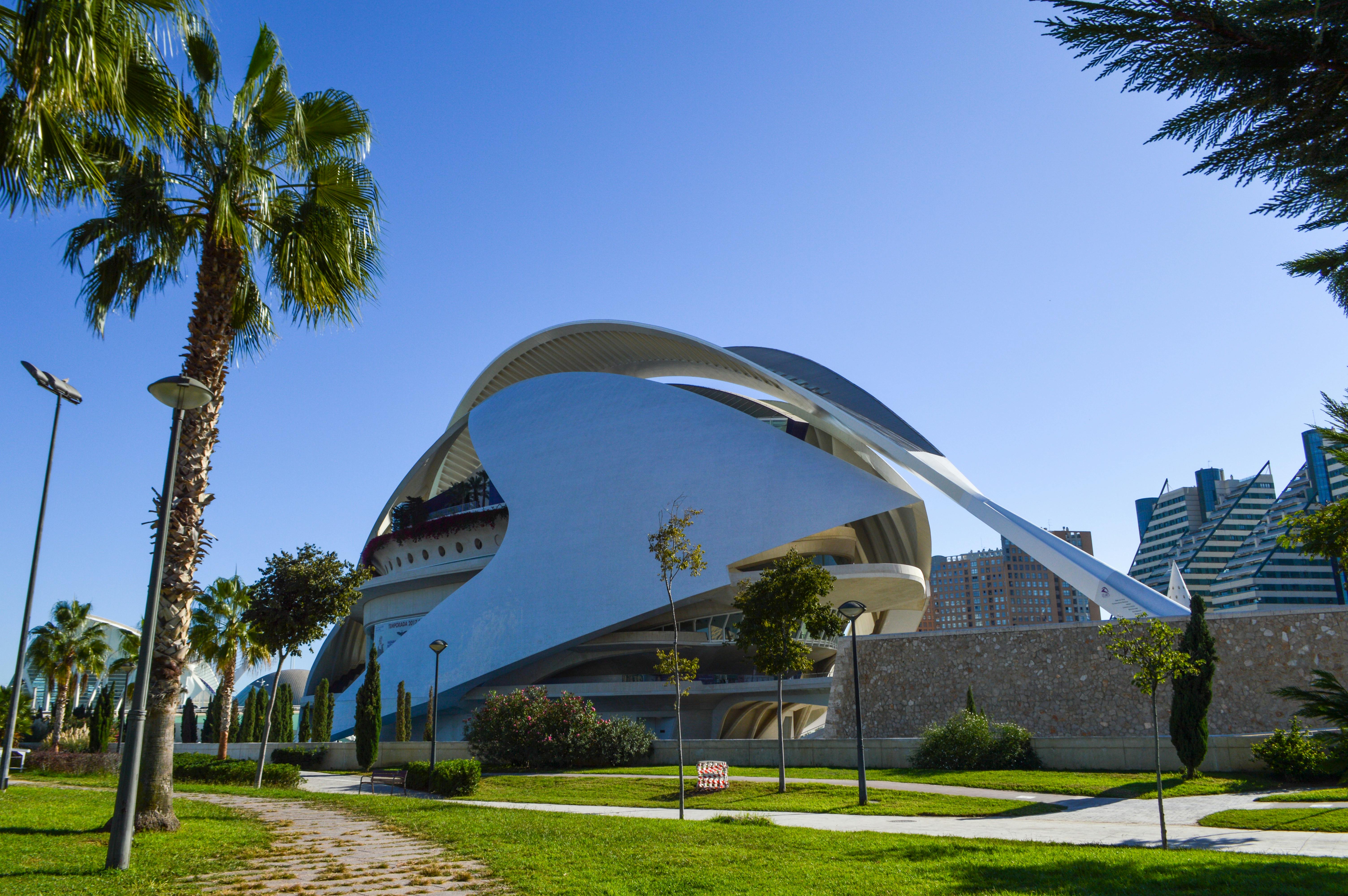 palm trees in park near futuristic building