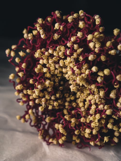 Close up of Bouquet