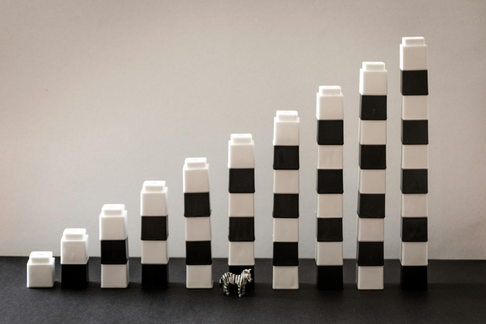 White and Black Plastic Toy Decor