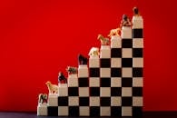 方格块上排列着彩色动物雕像，背景为红色