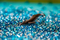 特写镜头中，玩具鲸鱼被充满活力的蓝色珠子环绕，营造出闪闪发光的水生效果