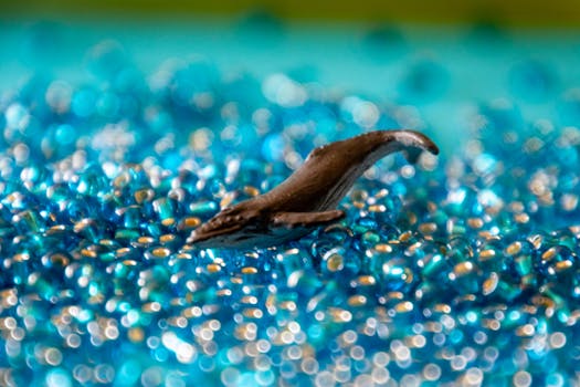 特写镜头中，玩具鲸鱼被充满活力的蓝色珠子环绕，营造出闪闪发光的水生效果