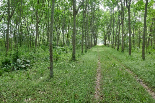 Image by naratip sretan