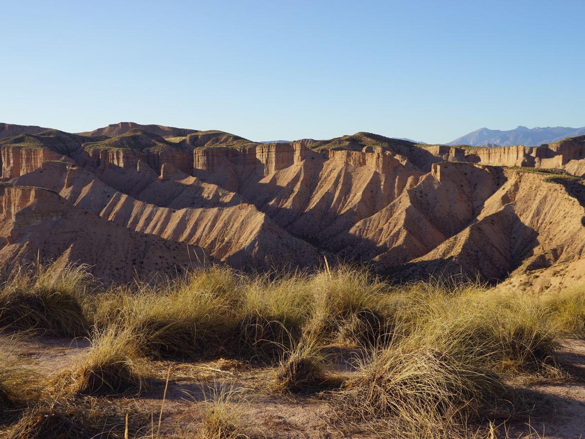 21 Day Zen Shiatsu & Chinese Medicine Training in Valencia, Spain 2