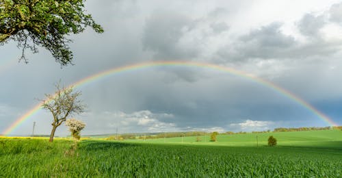 Foto d'estoc gratuïta de arc de Sant Martí, camp d'herba, camp verd