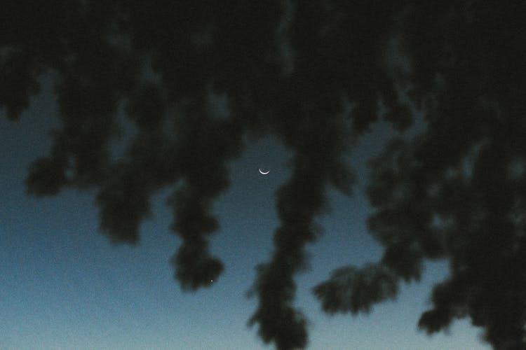 Blurry Tree Branches And A Crescent Moon On A Night Sky 