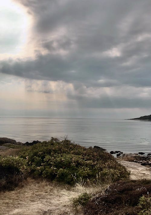 Immagine gratuita di acqua calma, costa, estate in svezia