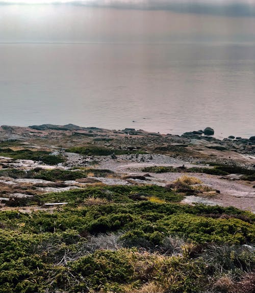Бесплатное стоковое фото с küste, meer, nebel