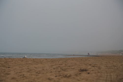 Ilmainen kuvapankkikuva tunnisteilla horisontti, horizonte de playa, kaffee