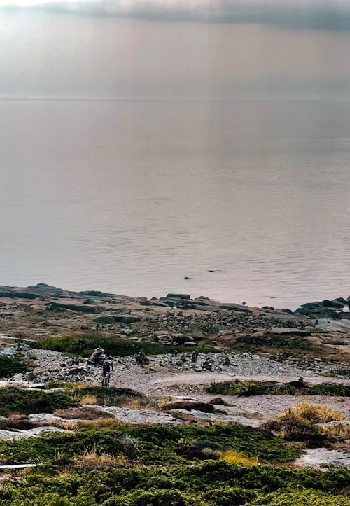 Бесплатное стоковое фото с küste, meer, nebel
