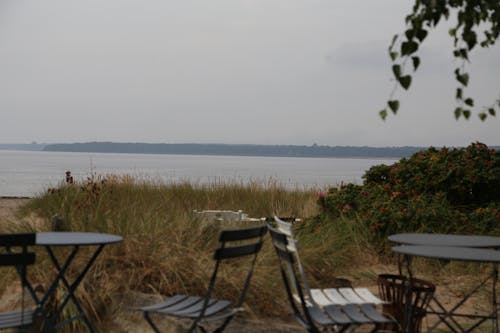 Immagine gratuita di acqua calma, costa, estate in svezia