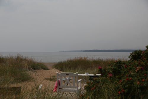 Immagine gratuita di acqua calma, costa, estate in svezia