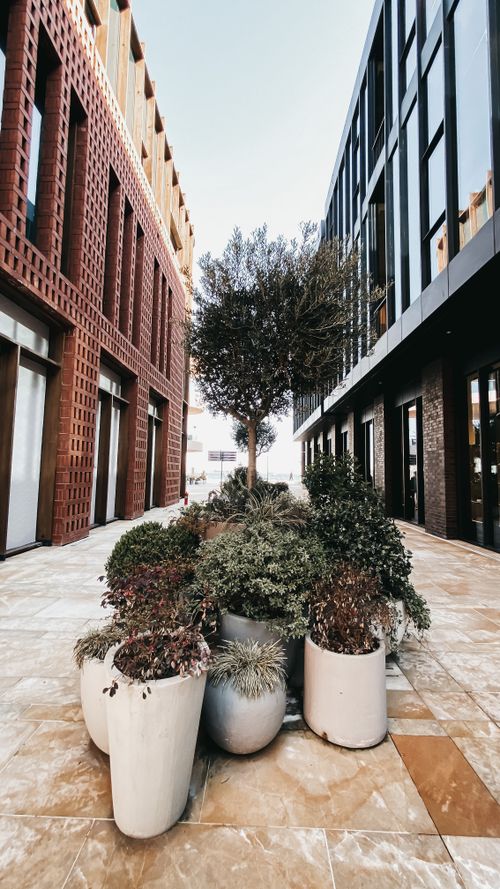 Free Modern buildings line an urban walkway with lush potted plants creating a tranquil environment. Stock Photo
