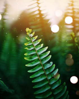 Close-up of a vibrant fern leaf in sunlight. Captured outdoors in Nairobi.