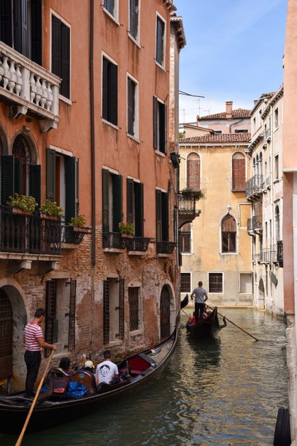 Gondolas navigate the charming canals of Venice, reflecting Italian architecture.