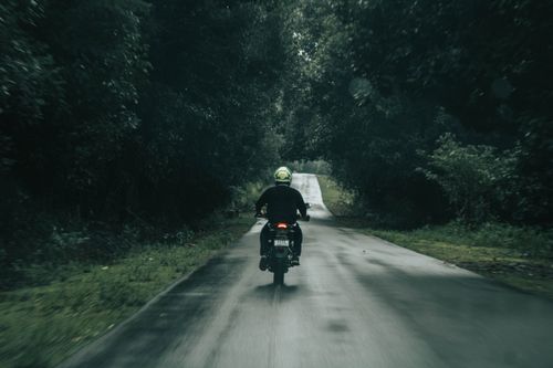 Free A lone motorcyclist travels down a serene, tree-lined rural road. Stock Photo