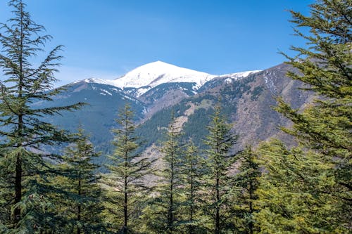 Бесплатное стоковое фото с вечнозеленый, голубое небо, гора