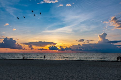 Silhouette of People Standing on Beach during Sunset