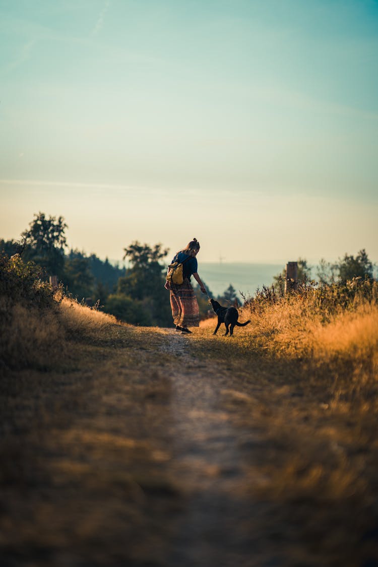 Person And Dog Walking On Grass Field 