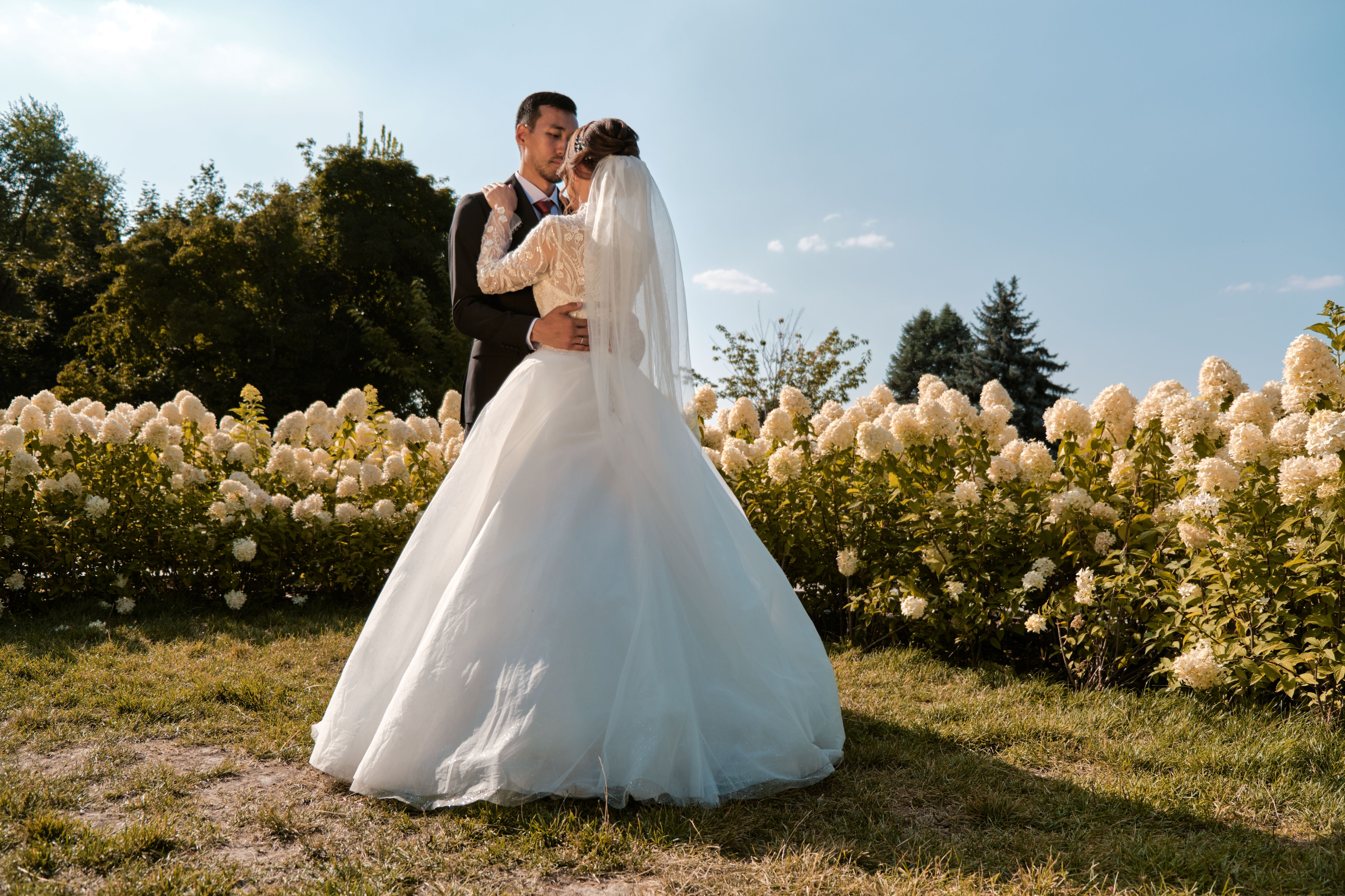 Back View of a Married Couple Walking in a Park · Free Stock Photo