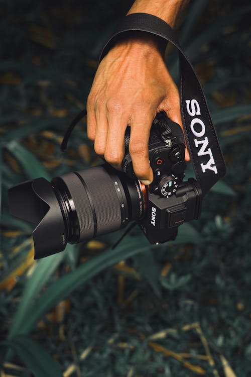 Free stock photo of camera crew, sony a7iv, sony alpha