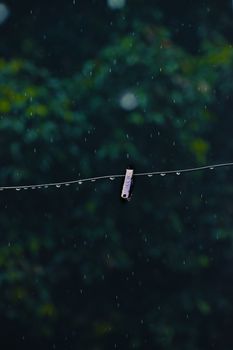A clothesline and clip with raindrops, set against lush greenery during a rainy day in Kanpur, India.