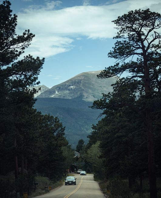 A serene mountain road cutting through lush pine forests under a bright blue sky.