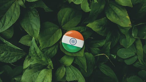 Free stock photo of india, indian flag, indian people