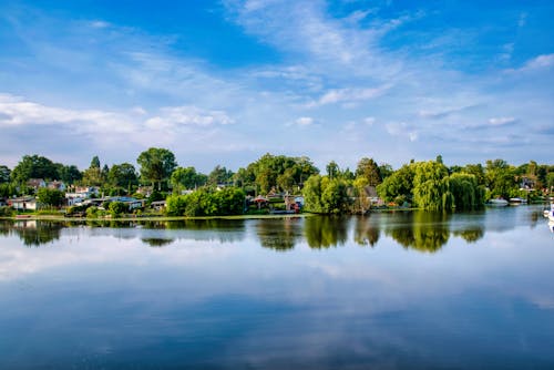 Scenic View of Green Trees Beside Body of Water Under Blue Sky