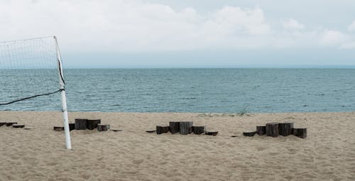 Wooden Logs on a Beach