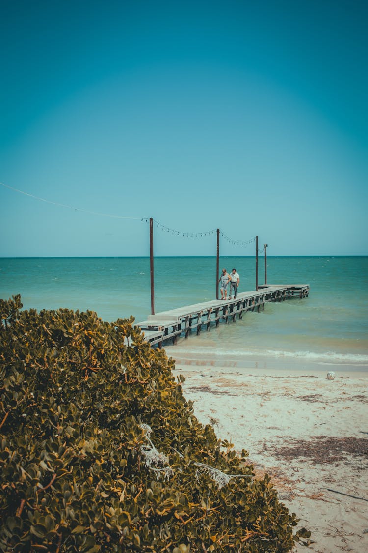 People Walking On Door On Beach