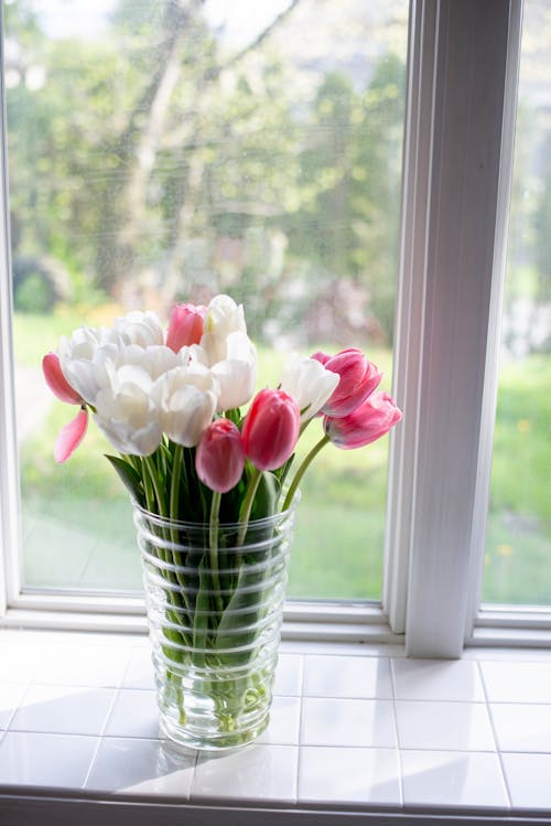 Pink and White Tulips on a Glass Vase