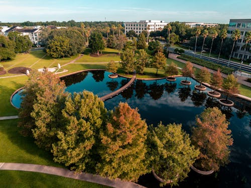 A Fall Foliage on a Garden Park Photo